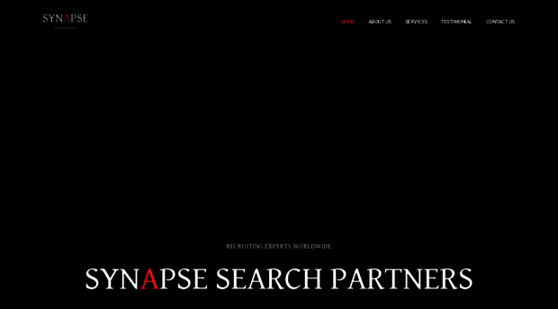 synapse-partners.com