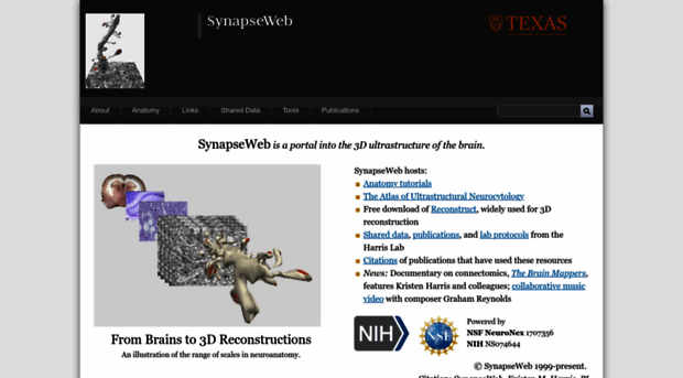 synapseweb.clm.utexas.edu