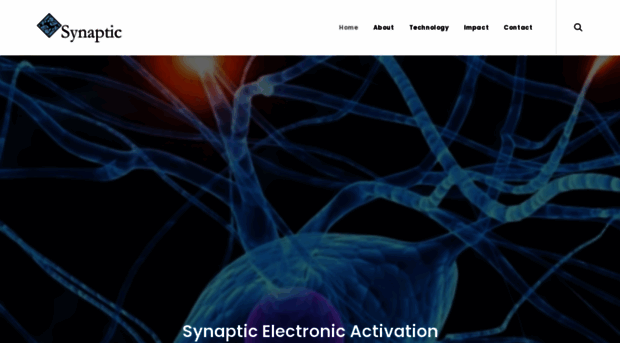 synapticusa.com