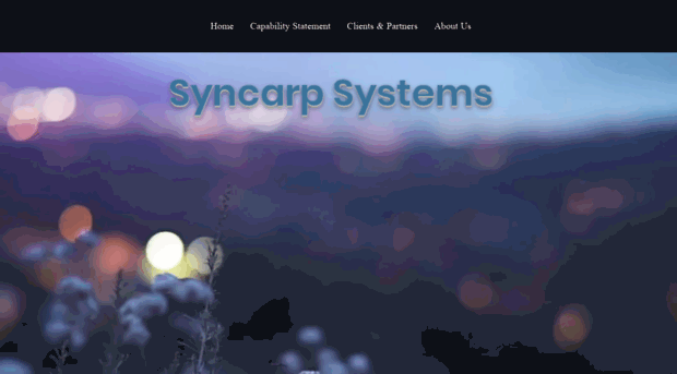 syncarpsystems.com