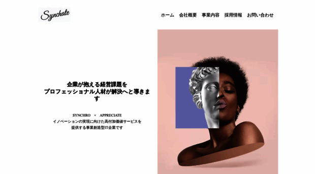 synchate.com