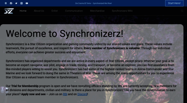 synchronizerz.com