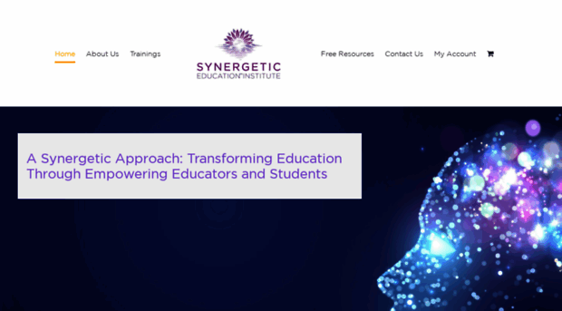 synergeticeducation.com