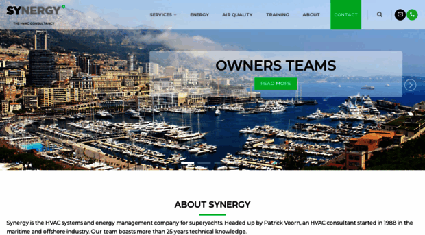 synergy-consultancy.com