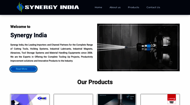 synergy-india.in