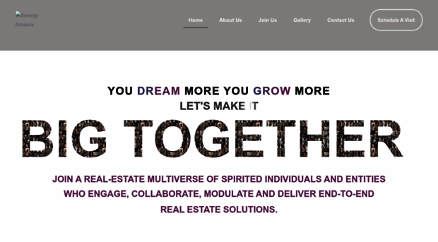 synergyadvisors.in