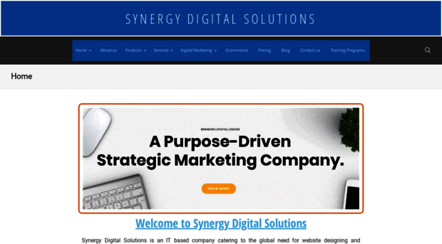 synergydigitalsolutions.in