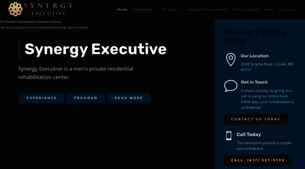 synergyexecutive.com