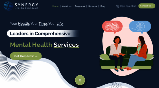 synergyhealthprograms.com