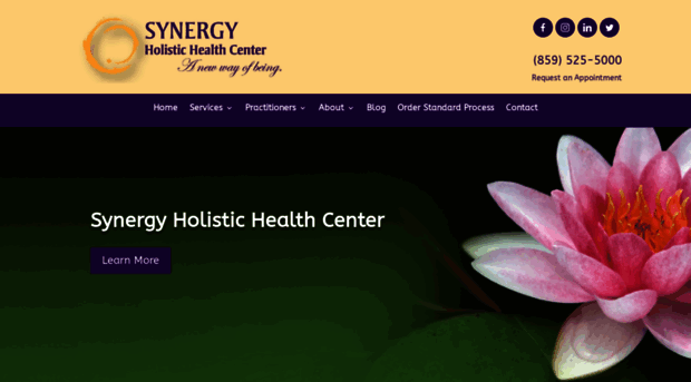 synergyholistichealth.com