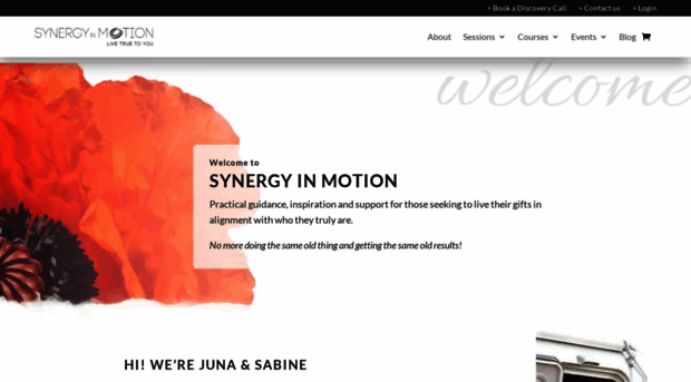 synergyinmotion.info