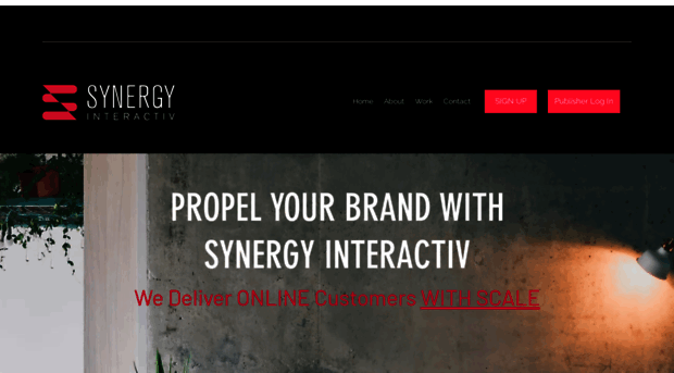 synergyinteractiv.com