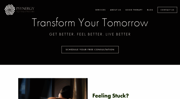 synergypsychotherapy.com