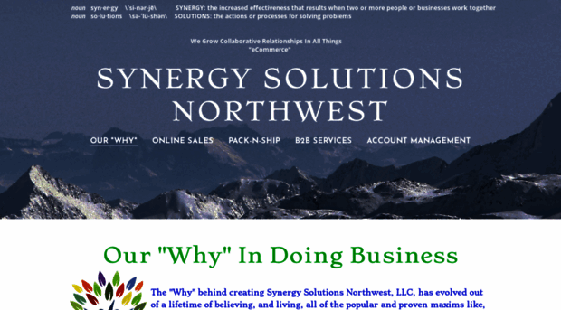 synergysolutionsnw.com