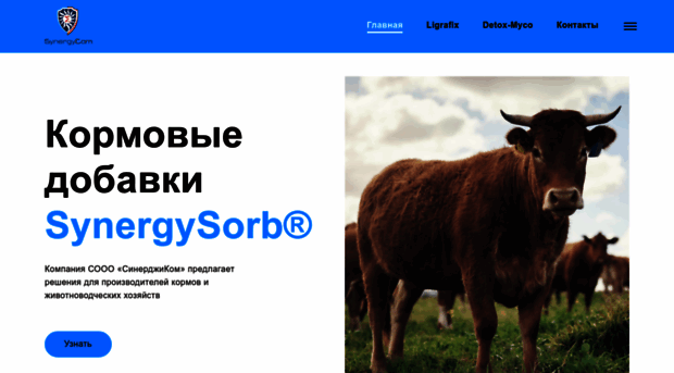 synergysorb.ru