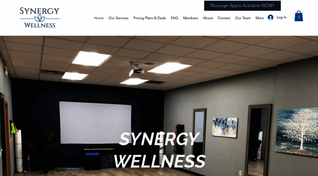 synergywellnesscenters.com