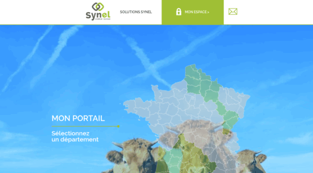 synest.net