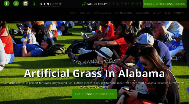 synlawnalabama.com