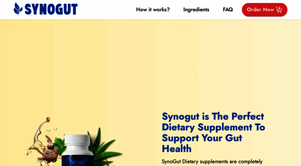 synogut-net.com