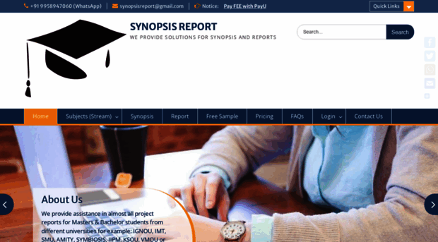 synopsisreport.com