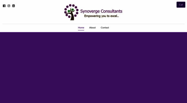 synovergeconsultants.com