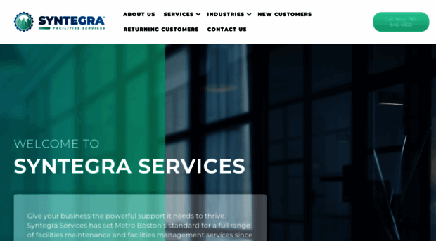 syntegraservices.com