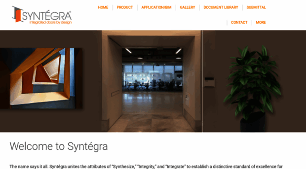 syntegrausa.com