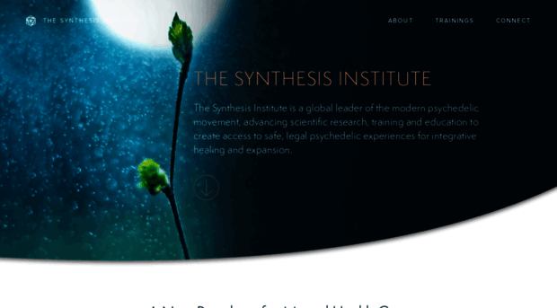 synthesisinstitute.com