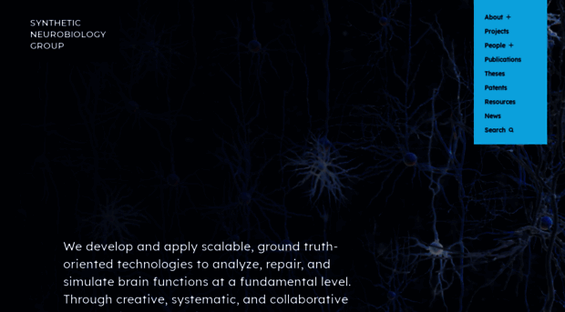 syntheticneurobiology.org