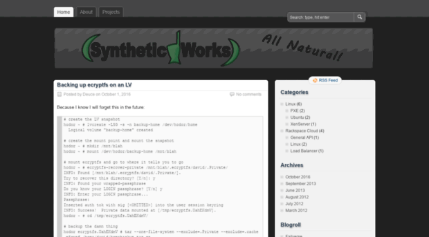 syntheticworks.com