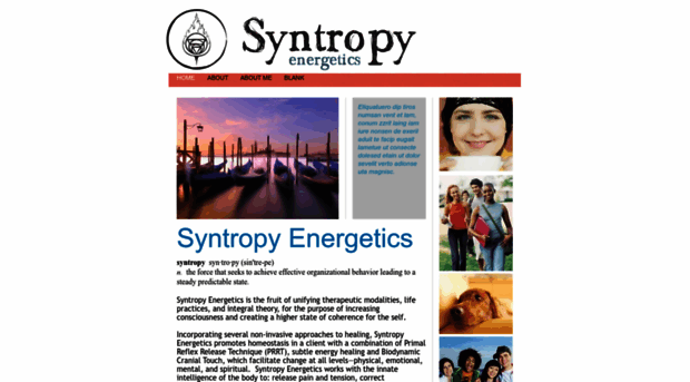 syntropyenergetics.com