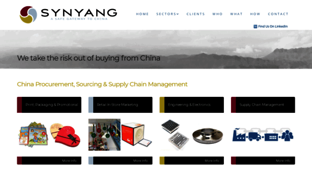 synyang.com