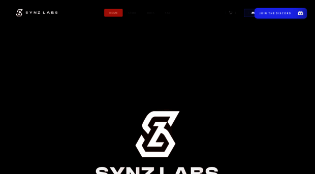 synzlabs.com