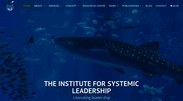 systemicleadershipinstitute.org