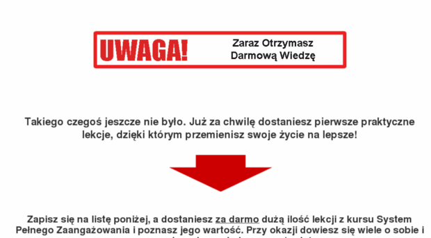 systempelnegozaangazowania.pl