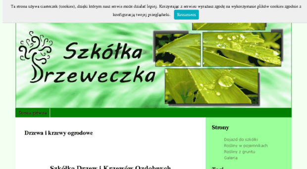 szkolkakrzewow.pl