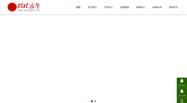 szsonglin.com