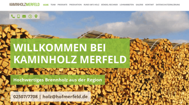 t-merfeld.de