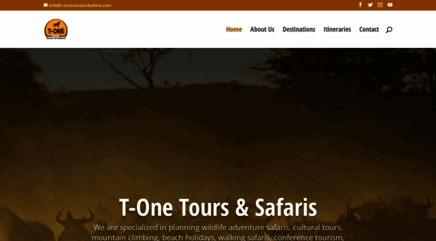 t-onetoursandsafaris.com