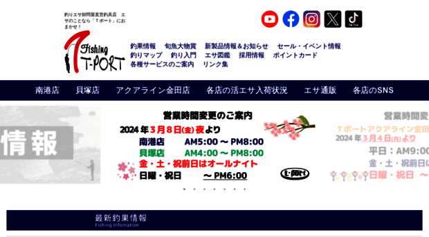 t-port.com