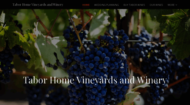 taborhomewinery.com