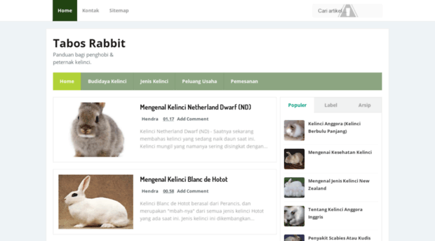 tabosrabbit.blogspot.com