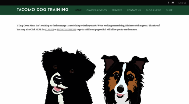 tacomodogtraining.com