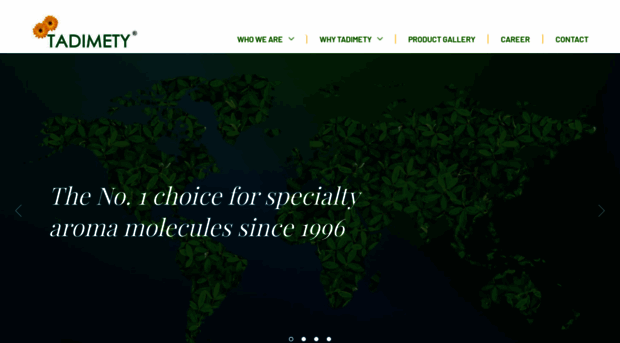 tadimety.com
