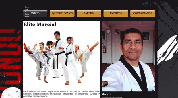 taekwondoperu.com