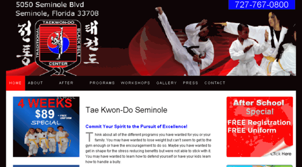 taekwondoseminole.com