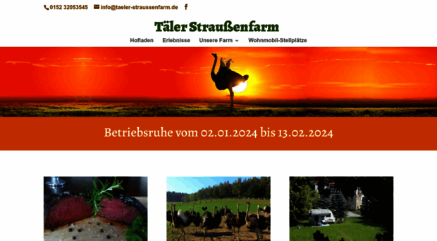 taeler-straussenfarm.de