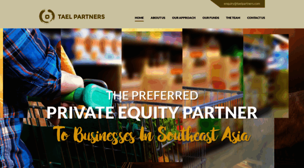 taelpartners.com