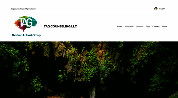 tagcounselingllc.com