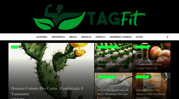 tagfit.com.br